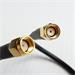 Koaxiální kabel Belden RF240 1m RSMA Male/RSMA Male, útlum 3,5 dB/2,4 GHz