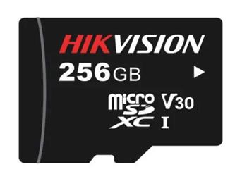 HIKVISION HS-TF-L2/256G/P